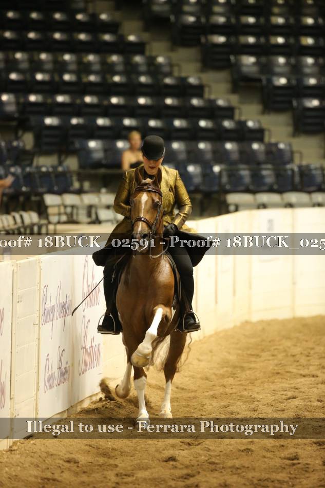 Proof 18BUCK_02591