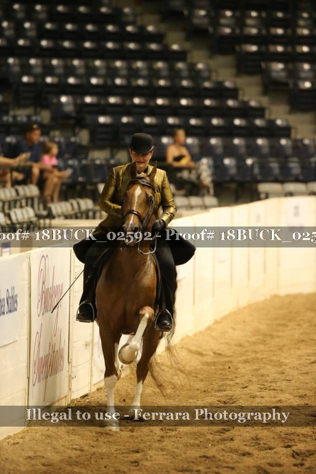 Proof 18BUCK_02592