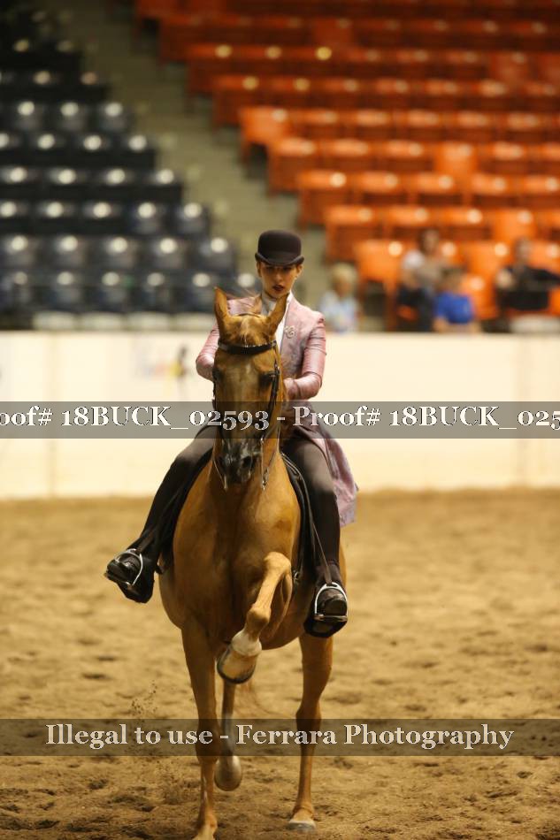 Proof 18BUCK_02593