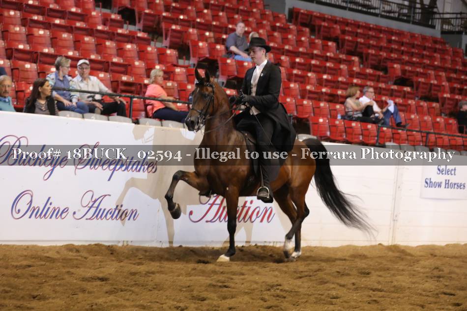 Proof 18BUCK_02594