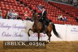 18BUCK_02594 proof