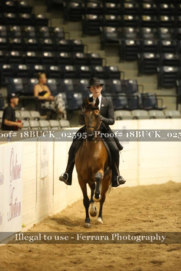 Proof 18BUCK_02595