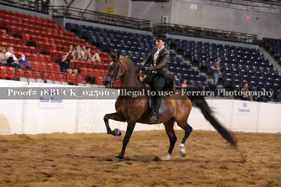 Proof 18BUCK_02596