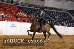 18BUCK_02596 proof