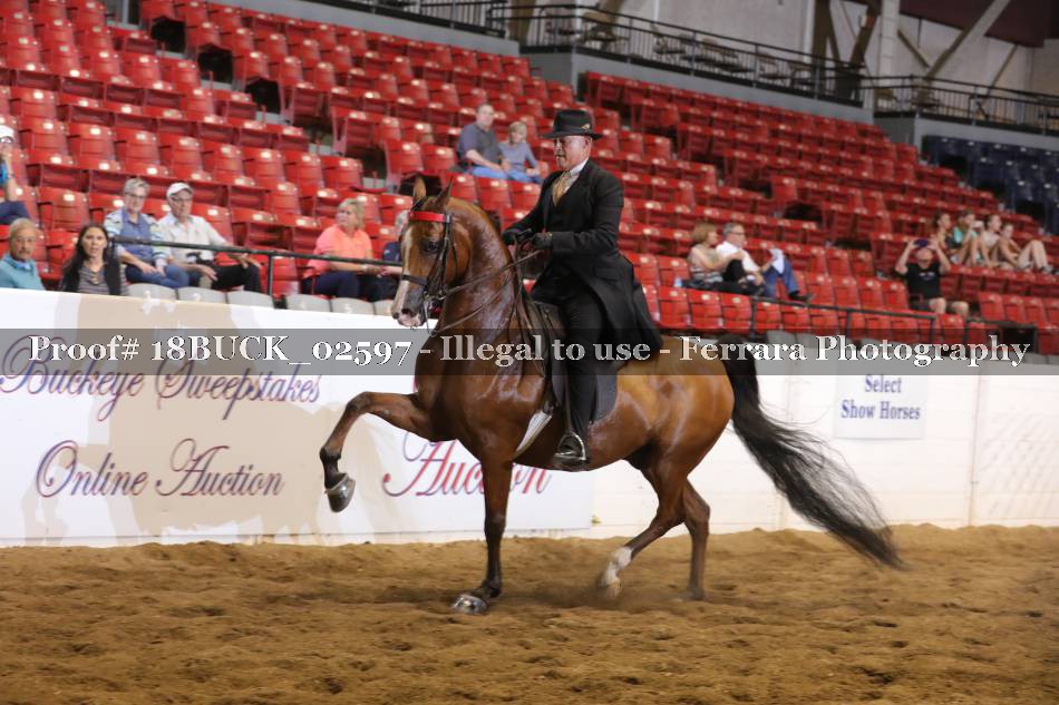 Proof 18BUCK_02597