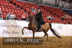 18BUCK_02597 proof