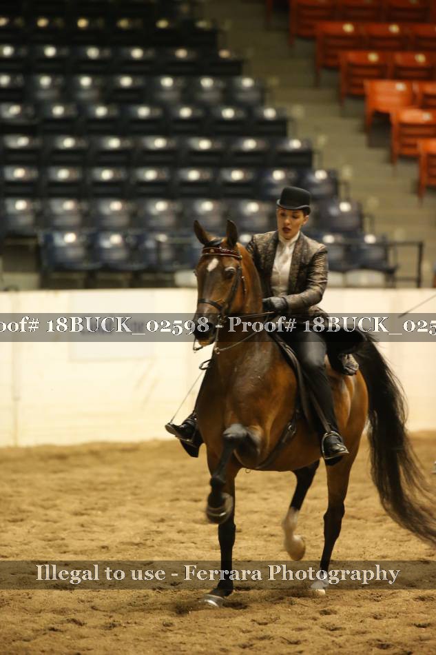 Proof 18BUCK_02598
