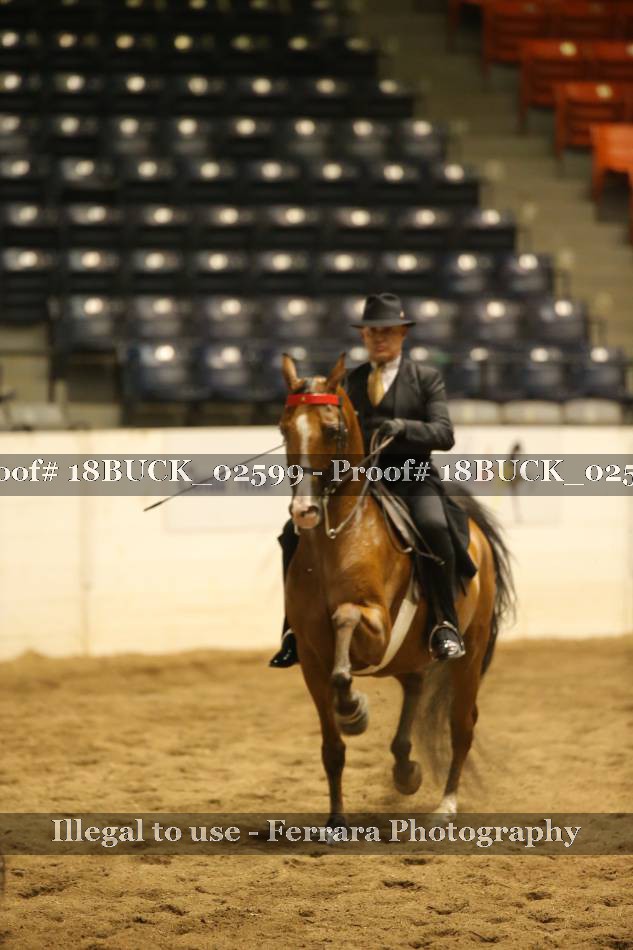 Proof 18BUCK_02599