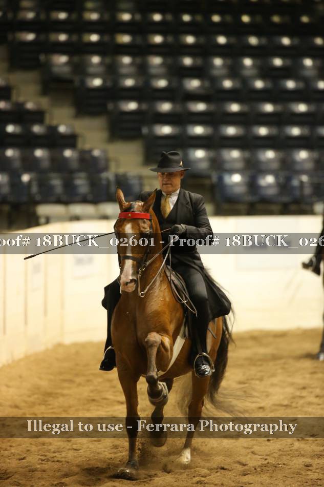 Proof 18BUCK_02601