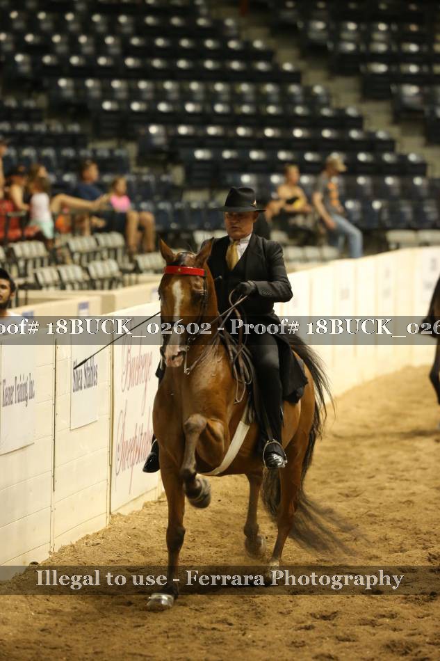 Proof 18BUCK_02602