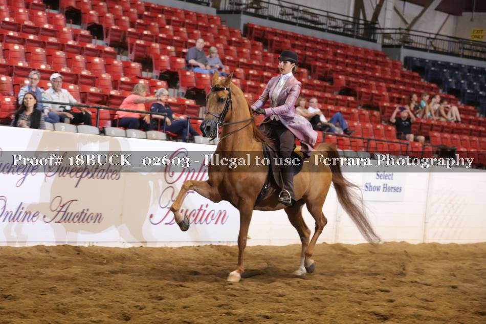 Proof 18BUCK_02603