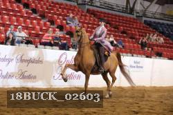 18BUCK_02603 proof