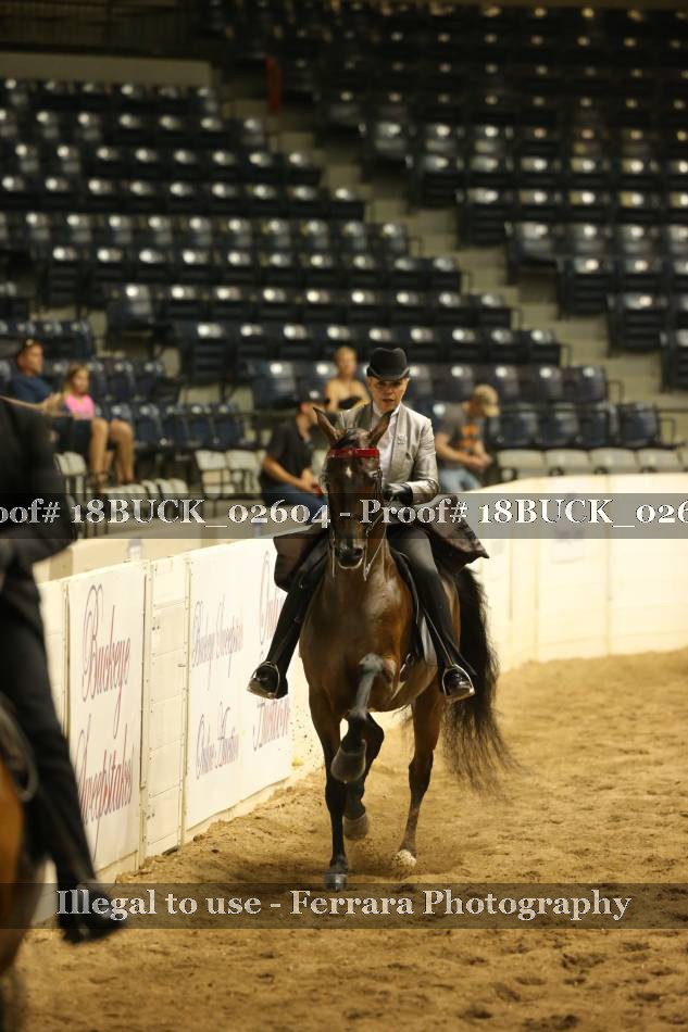 Proof 18BUCK_02604