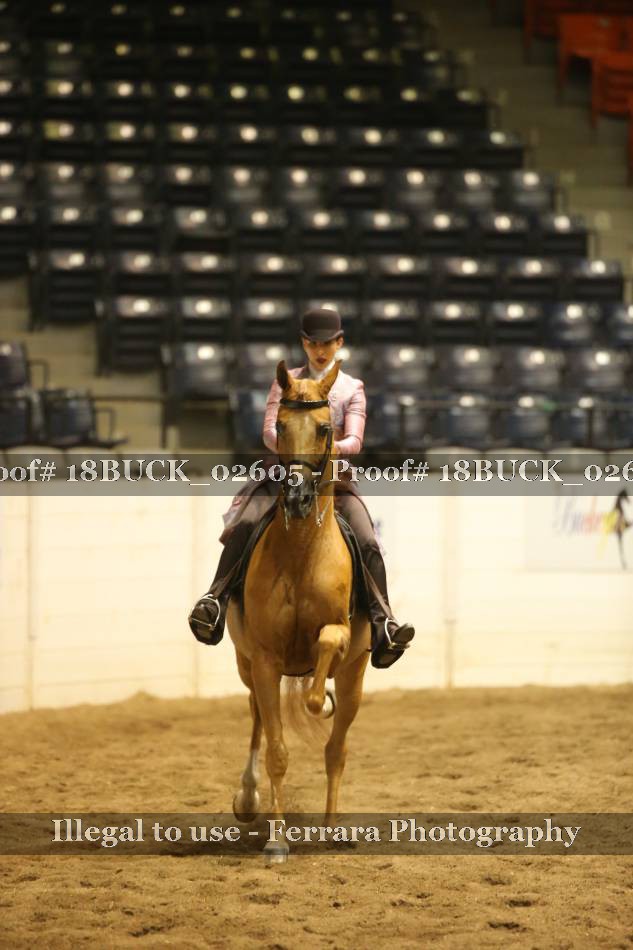 Proof 18BUCK_02605