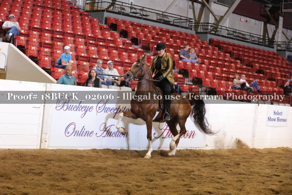 Proof 18BUCK_02606