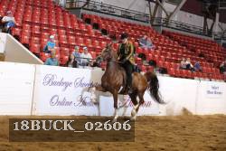 18BUCK_02606 proof