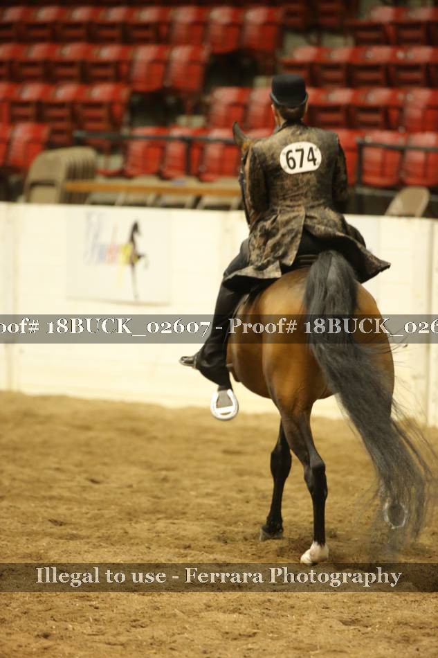 Proof 18BUCK_02607