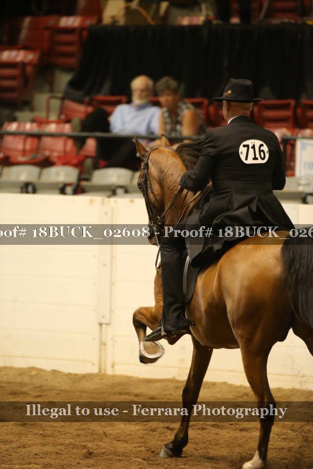 Proof 18BUCK_02608
