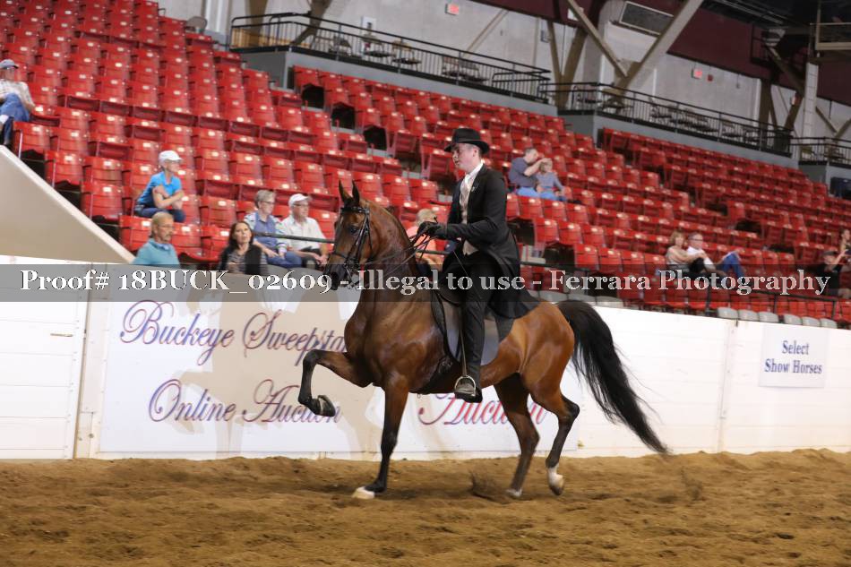 Proof 18BUCK_02609