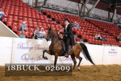 18BUCK_02609 proof