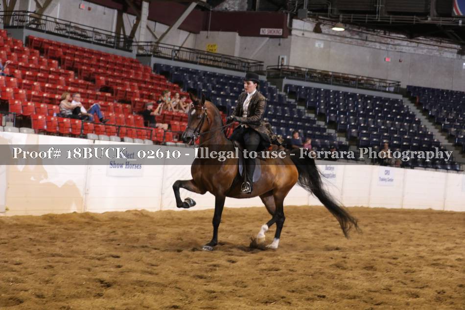 Proof 18BUCK_02610