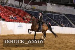 18BUCK_02610 proof