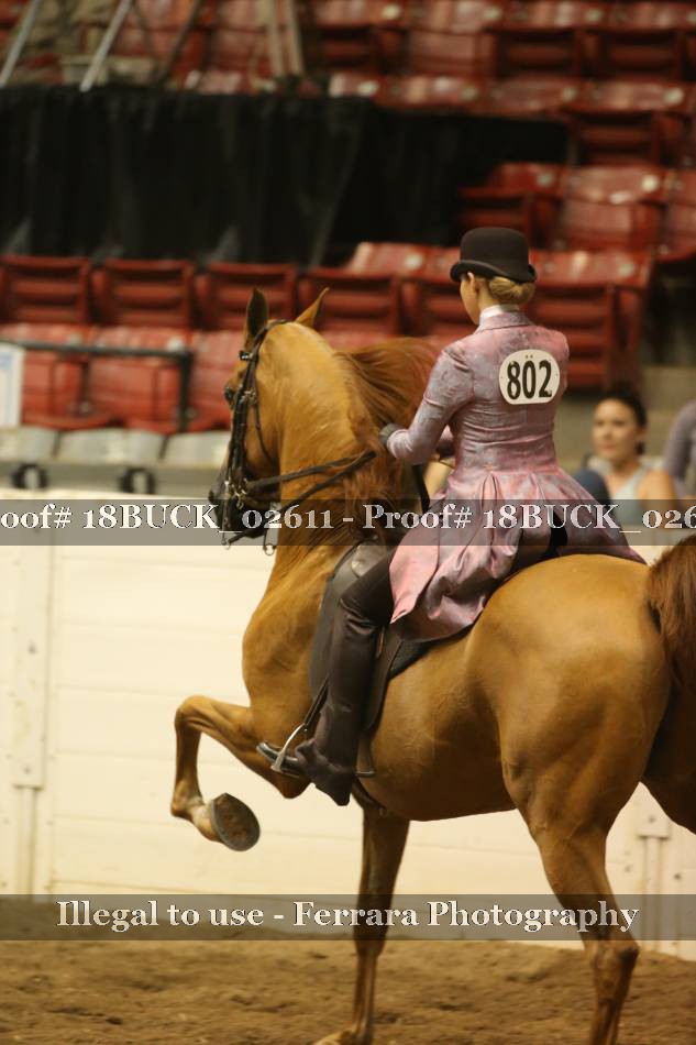 Proof 18BUCK_02611