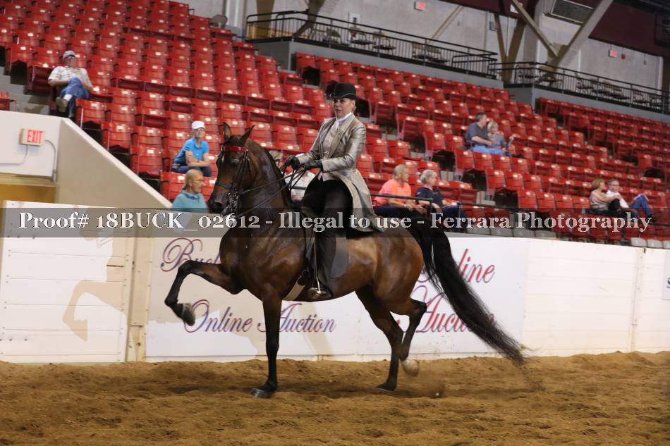 Proof 18BUCK_02612