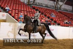 18BUCK_02612 proof