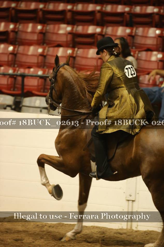 Proof 18BUCK_02613