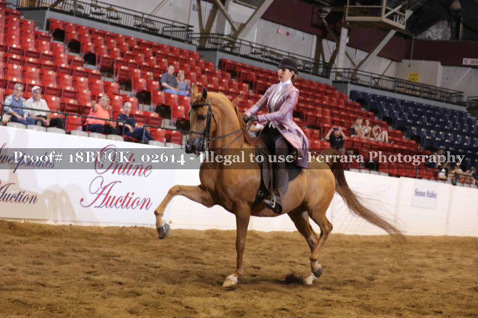 Proof 18BUCK_02614