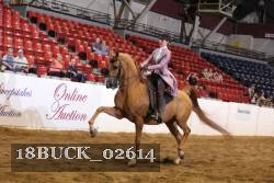 18BUCK_02614 proof