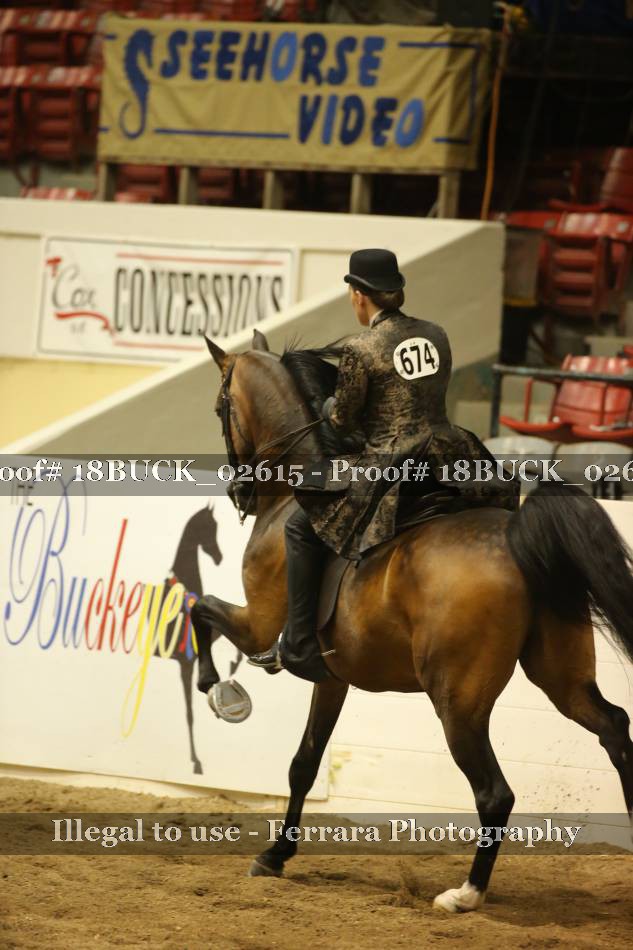 Proof 18BUCK_02615