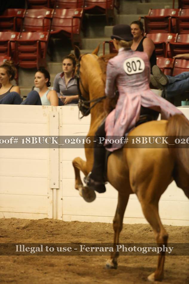 Proof 18BUCK_02616