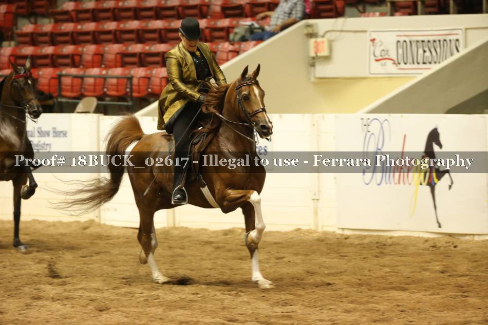 Proof 18BUCK_02617
