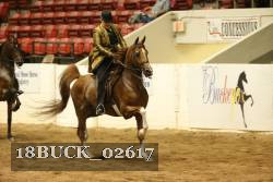 18BUCK_02617 proof