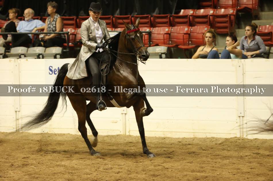 Proof 18BUCK_02618