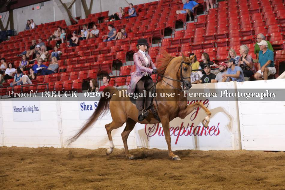 Proof 18BUCK_02619