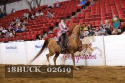 18BUCK_02619 proof