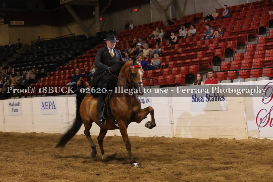 Proof 18BUCK_02620