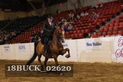 18BUCK_02620 proof