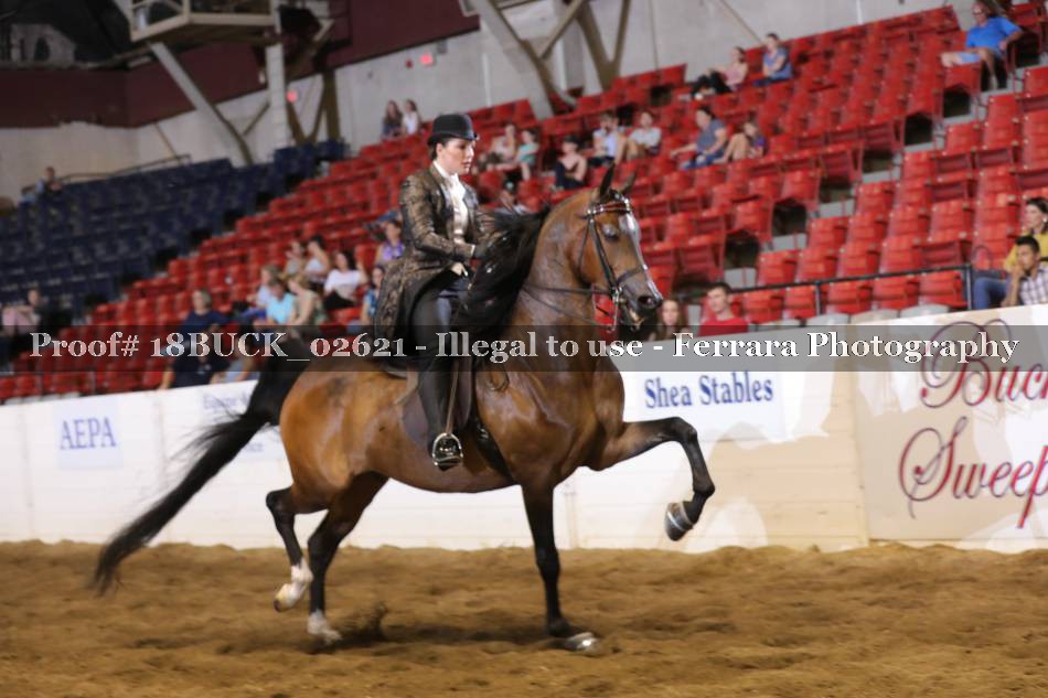 Proof 18BUCK_02621