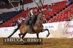 18BUCK_02621 proof