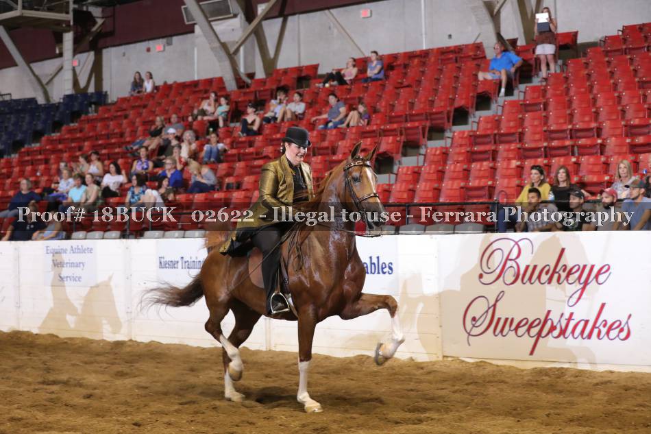 Proof 18BUCK_02622