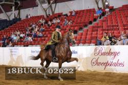 18BUCK_02622 proof