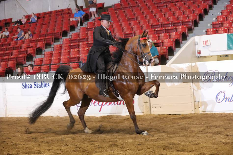 Proof 18BUCK_02623