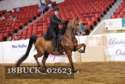 18BUCK_02623 proof