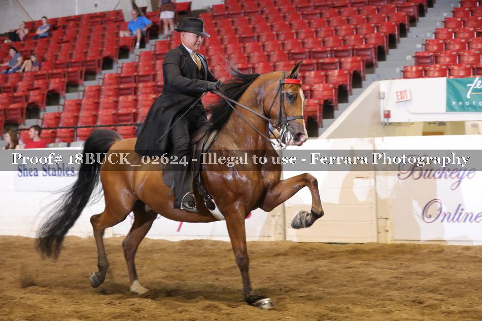 Proof 18BUCK_02624