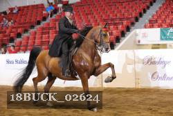 18BUCK_02624 proof