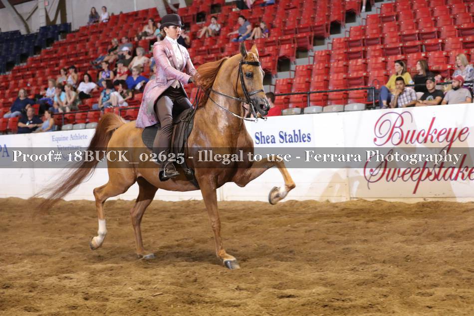 Proof 18BUCK_02625